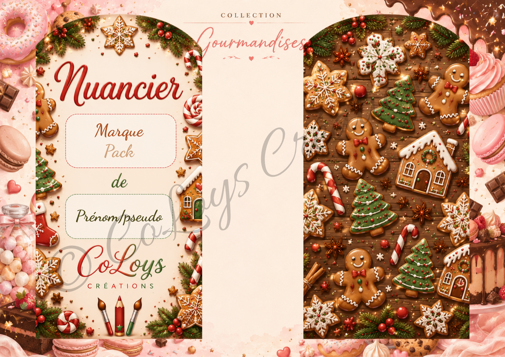 49 Biscuits de Noël